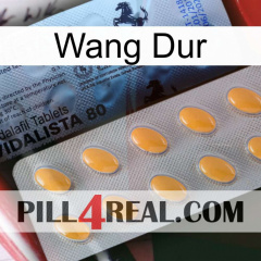 Hard Wang 44